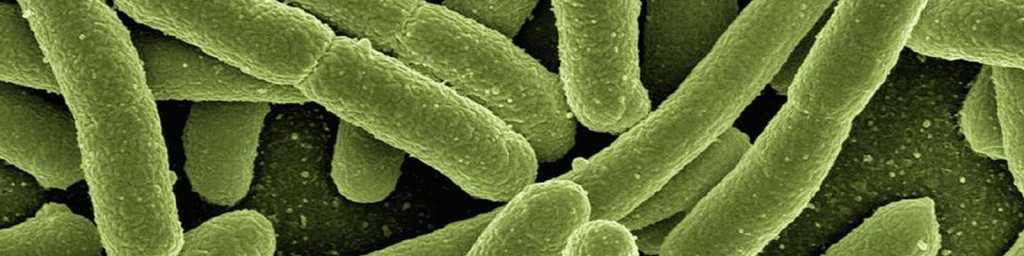 Sanitization